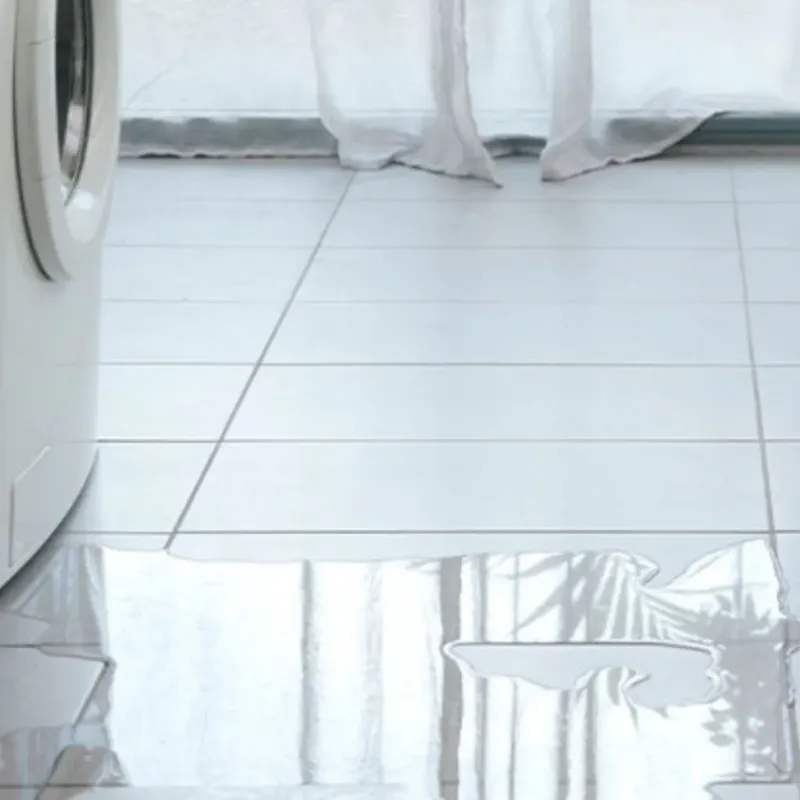 Appliance Leak Cleanup in Hancock, MI