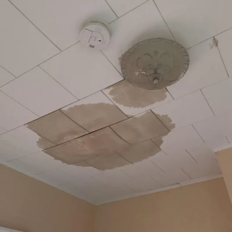 Ceiling Water Damage Repair in Hancock, MI