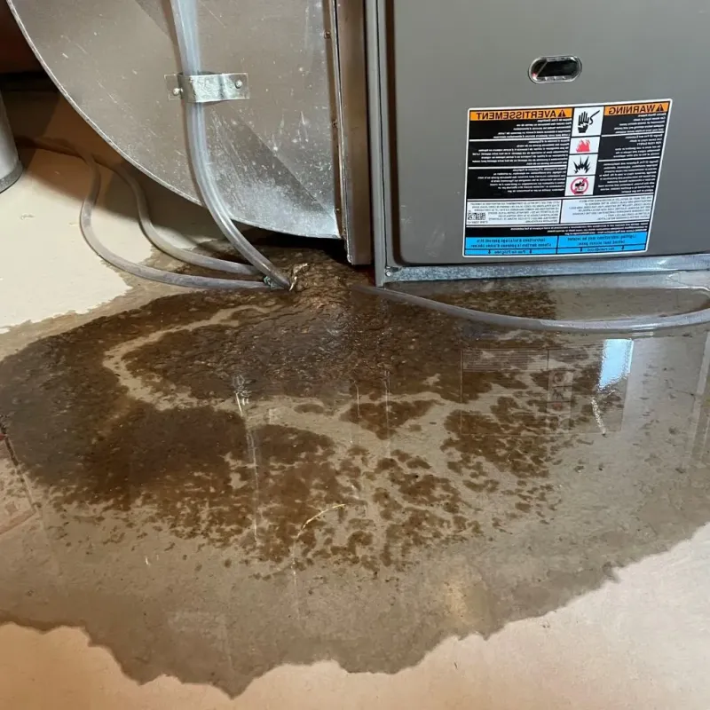 Pipe Burst and Leak Restoration in Hancock, MI
